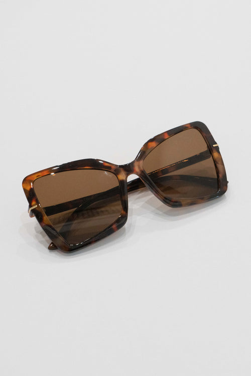 Big square translucent turtle color sunglasses