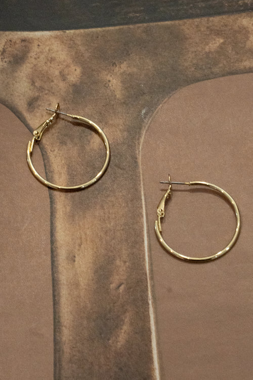 Gold Dipped Latch Hoop Earrings
