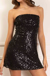 Natalia Sequins Mini Dress