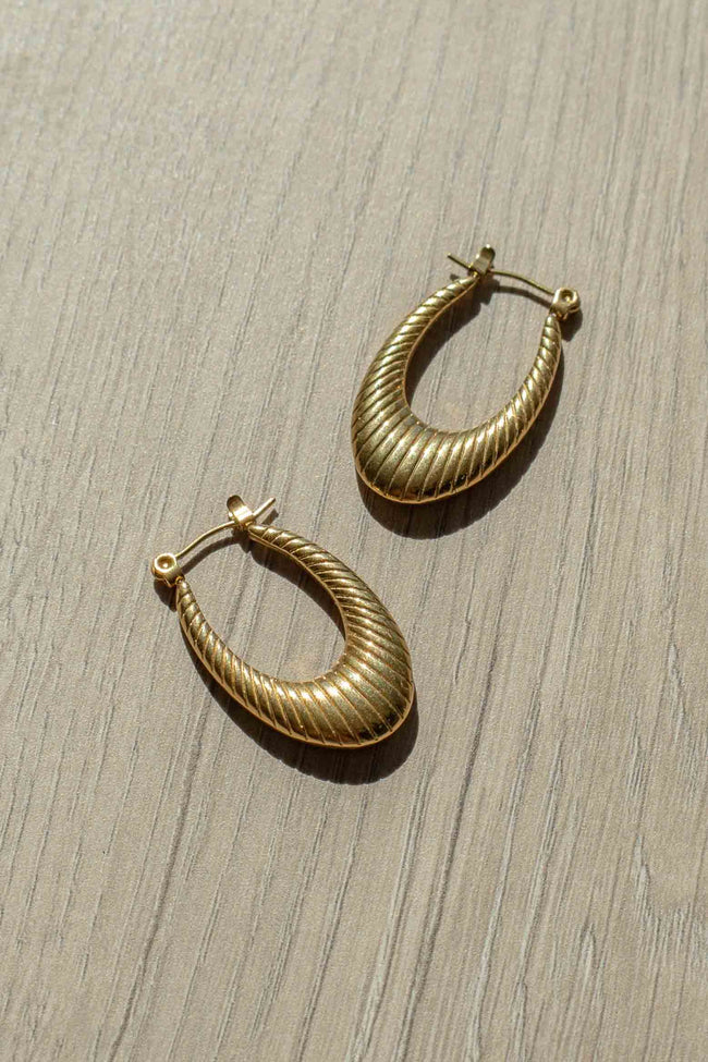 Stainless Steel Oval Latch Earrings