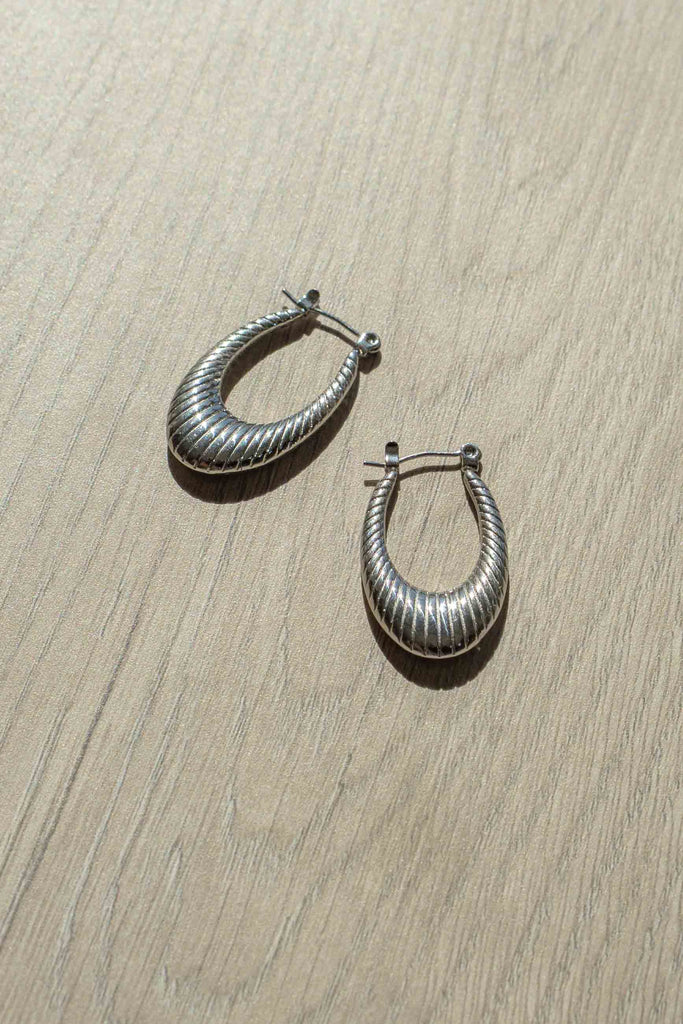 Stainless Steel Oval Latch Earrings
